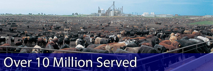 Over 10 Million Served