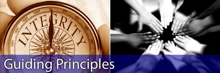 Guiding Principles