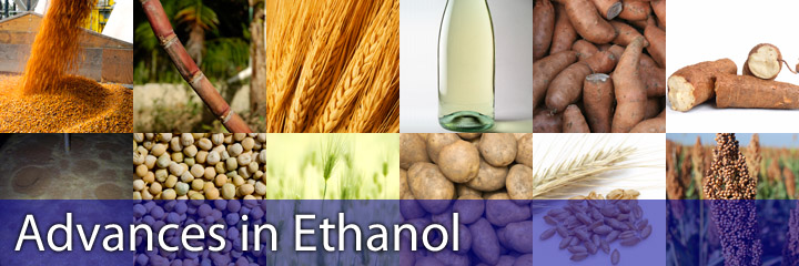 Advances in Ethanol